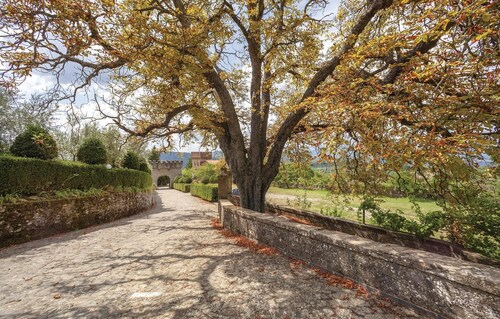 3 bedroom cozy home in Subbiano