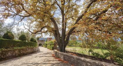 3 bedroom cozy home in Subbiano