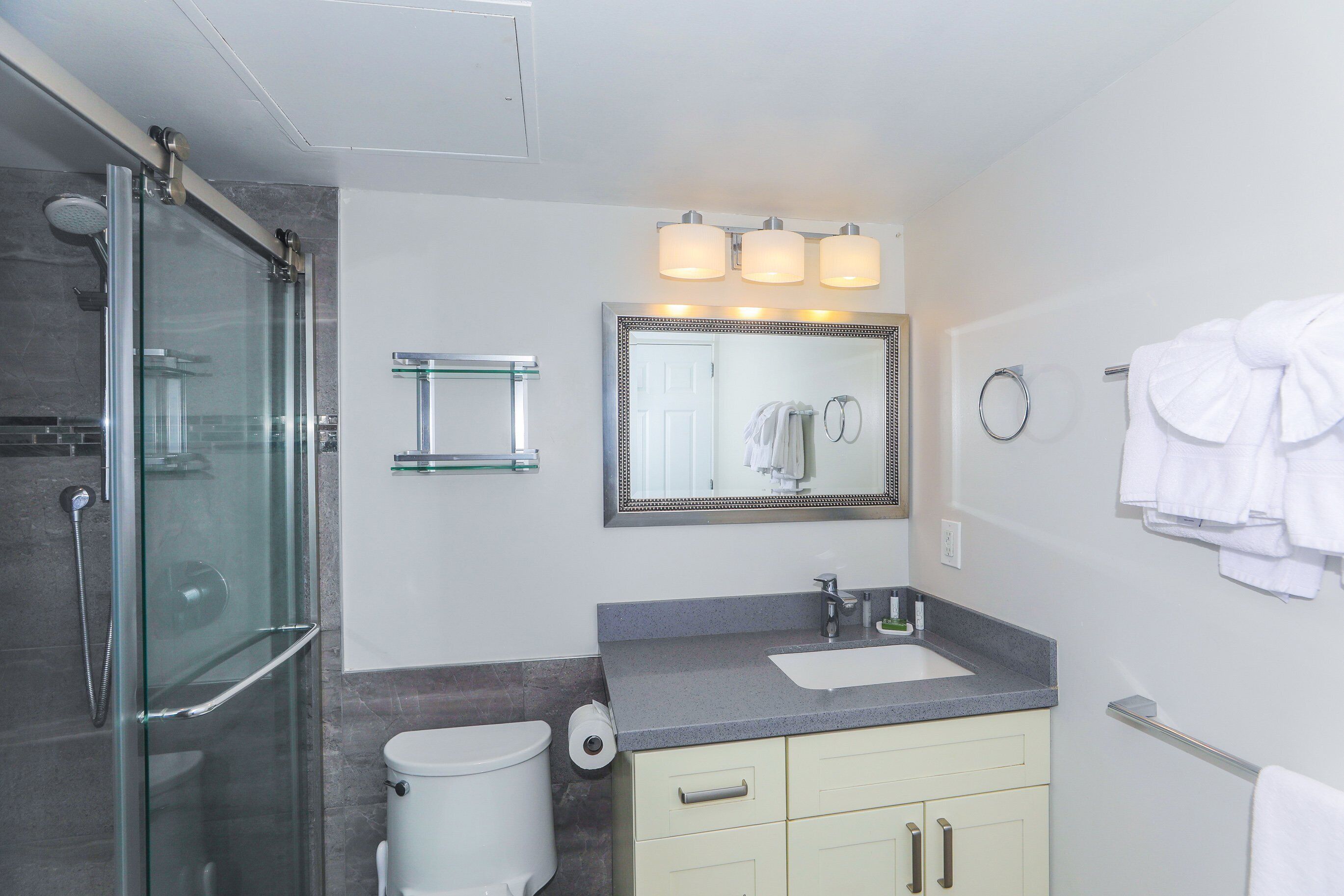 Shower, hair dryer, towels