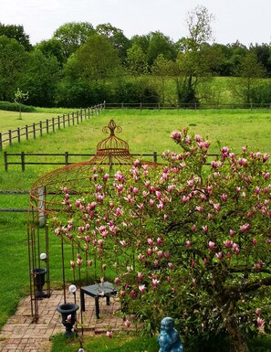 Vista desde la habitación