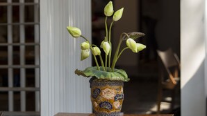 Uma mesa de madeira com um vaso decorativo contendo plantas verdes.