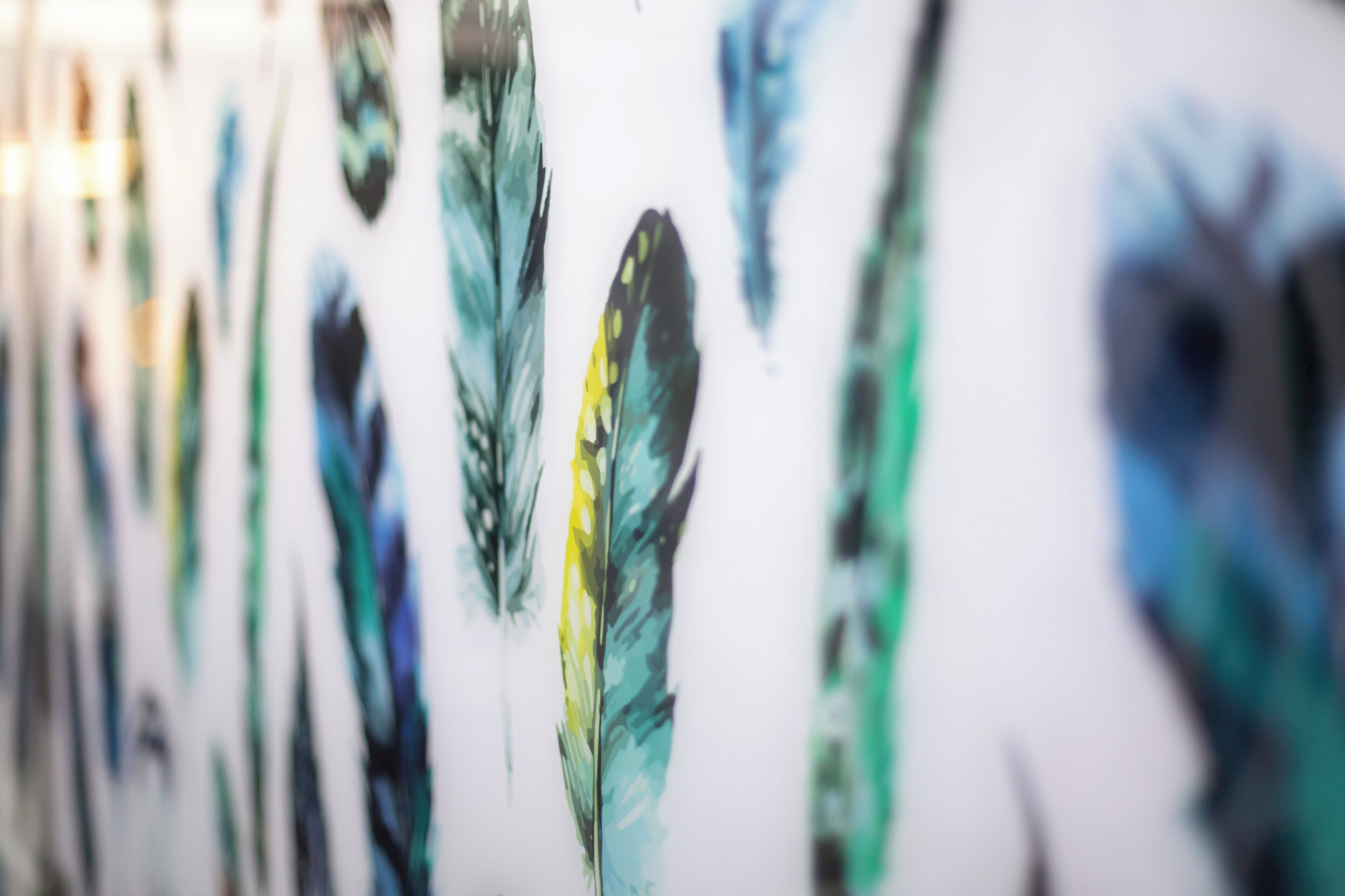 Una pared decorada con diversas obras de arte de plumas.