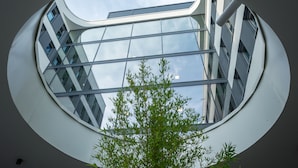 Un edificio moderno con un ventanal circular y un árbol en primer plano.