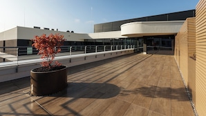 Un edificio moderno con techo plano, una planta grande en maceta y una terraza de madera.