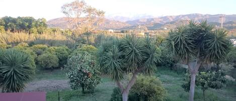 Romantic Apartment, Mountain View | View from room