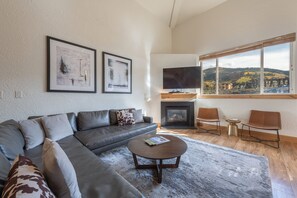 Télévision à écran plat, cheminée, lecteur de DVD