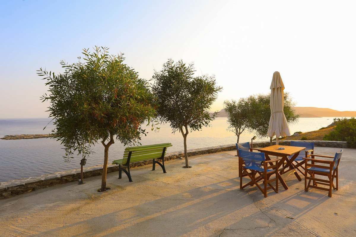 A seaside patio with a table and chairs, a bench, and two trees.