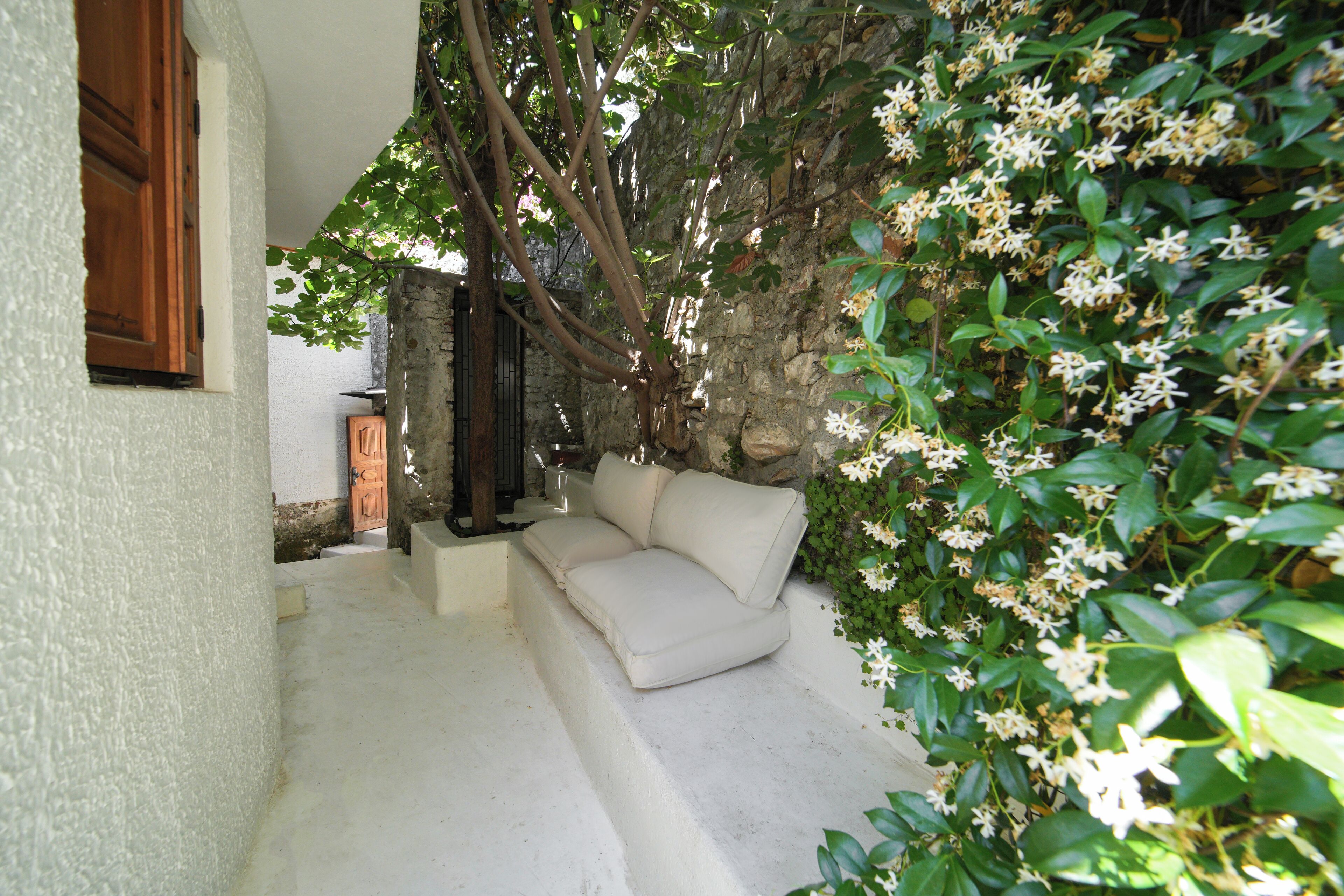 Panoramic Studio Suite | Garden view