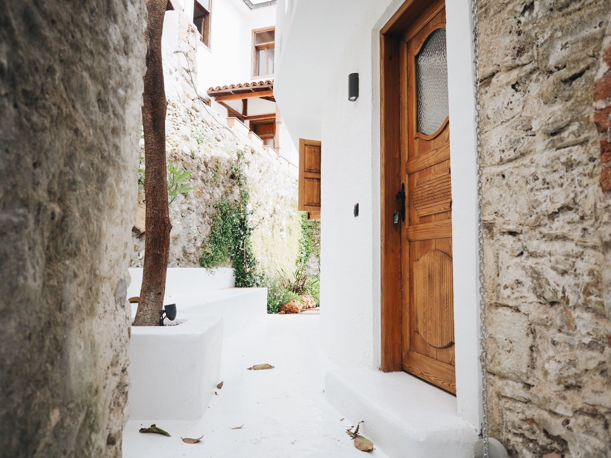 Panoramic Studio Suite | Garden view