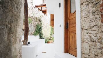 Panoramic Studio Suite | Garden view