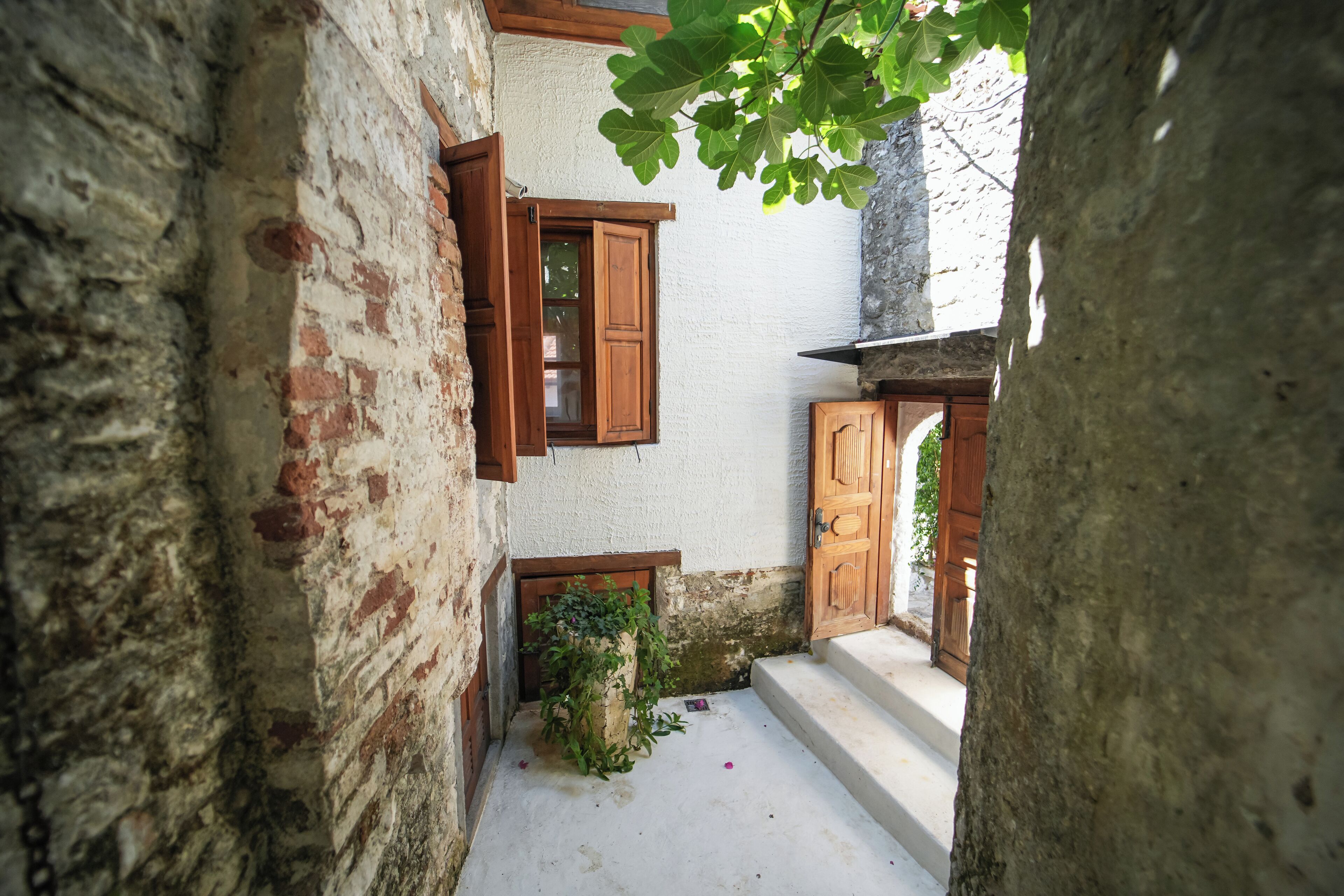 Panoramic Studio Suite | Garden view