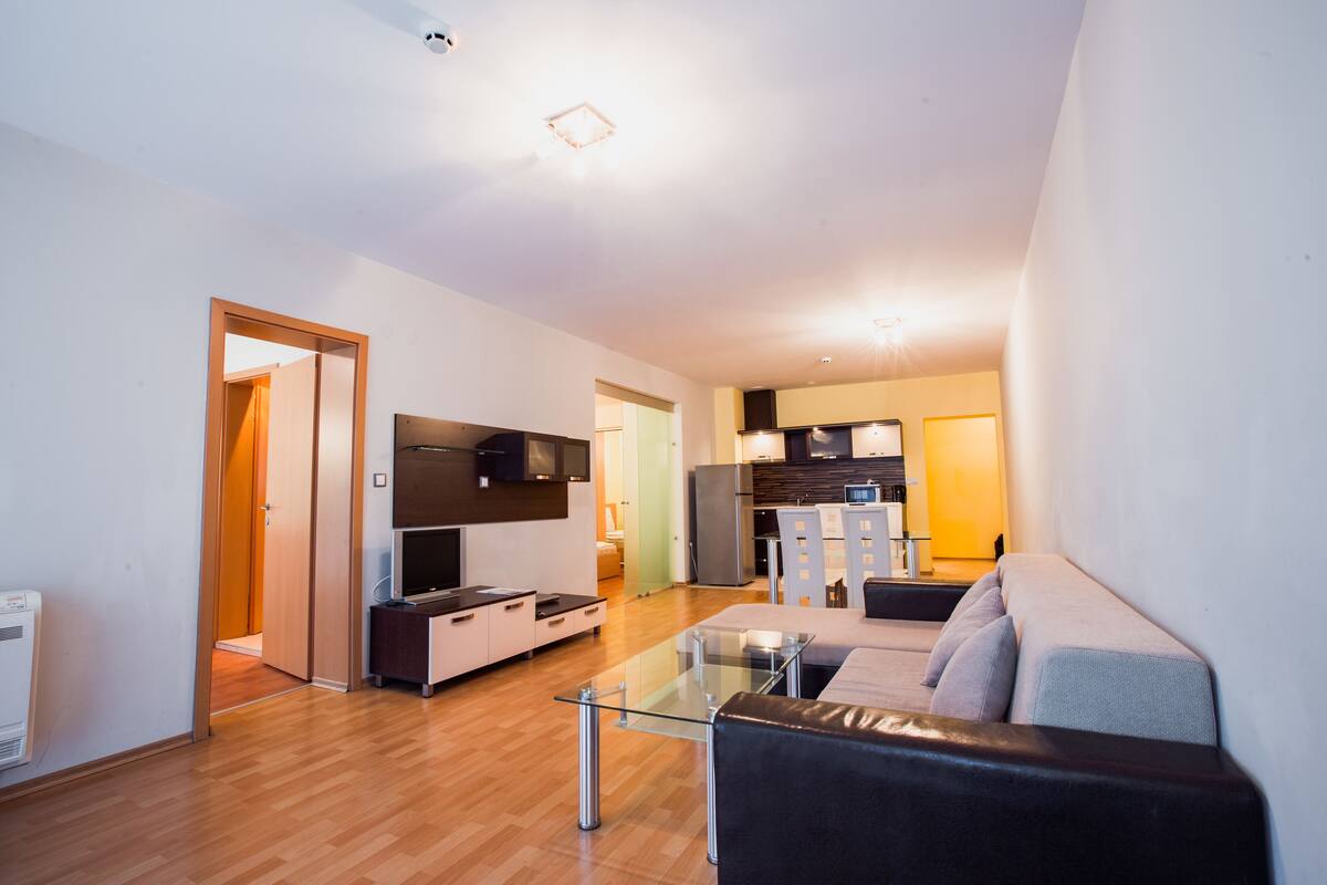 Comfort Apartment, 2 Bedrooms | Living area | Flat-screen TV, DVD player