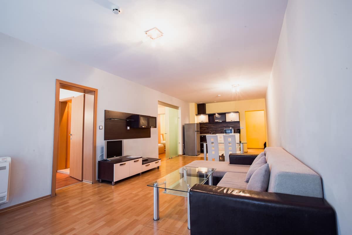 comfort apartment, 2 bedrooms | living area | flat-screen tv, dvd player