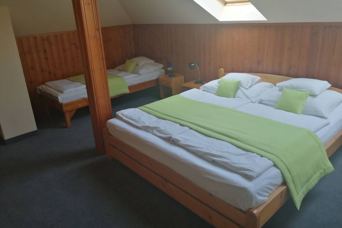 A room with two wooden beds, a skylight, and a small bedside table with a lamp.