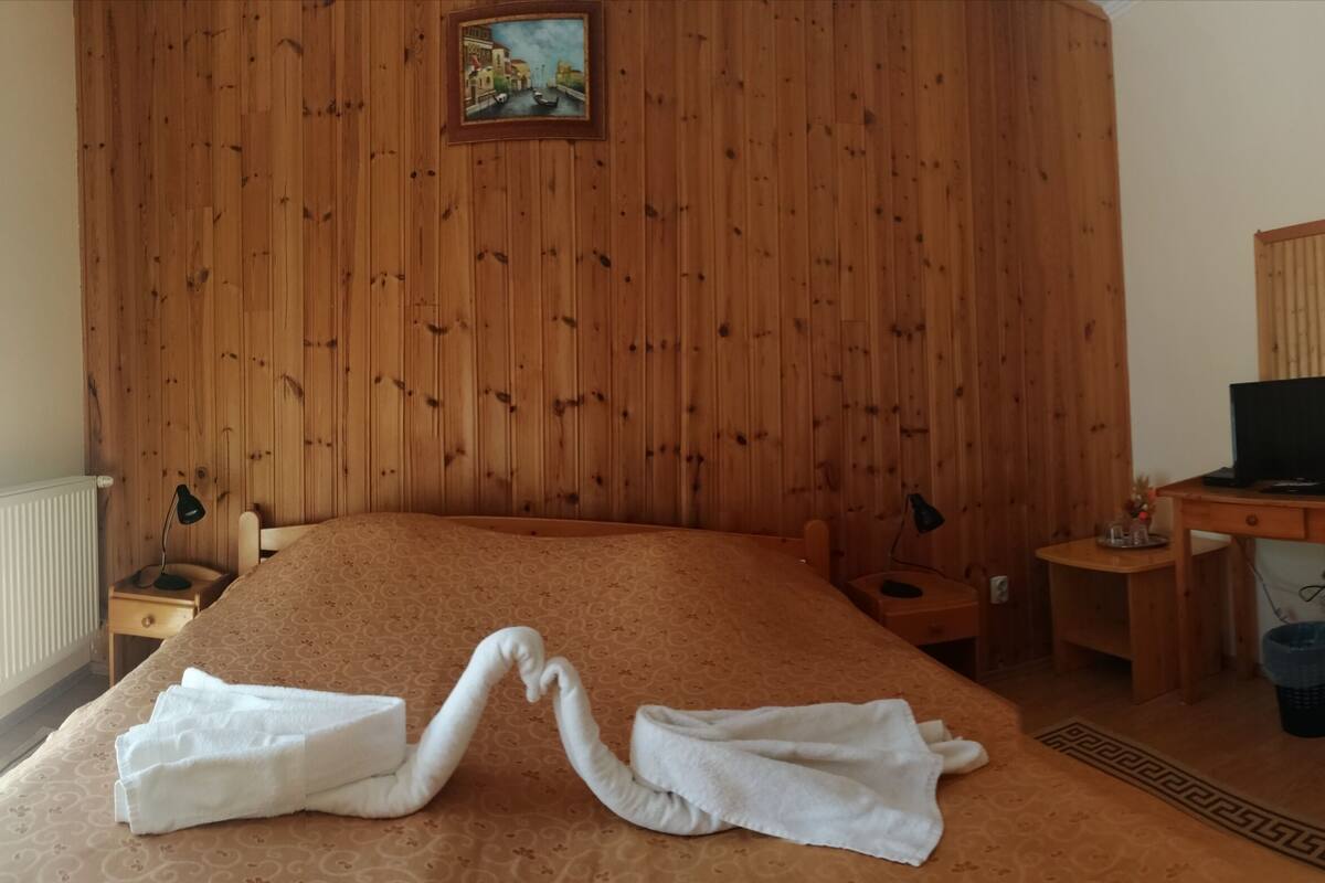 A hotel room with a wooden paneled wall, a bed with a patterned bedspread, a television on a wooden table, and a waste basket.