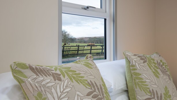 A bedroom with a large window, a bed with white linens, and two pillows with a leaf pattern. - Brown Rigg Guest Rooms (Hexham)