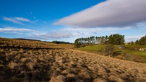 A rural landscape with rolling hills, a clear sky, and a few scattered trees. - Brown Rigg Guest Rooms (Hexham)
