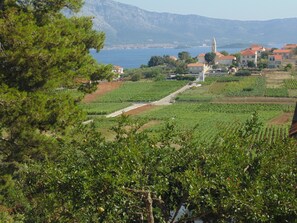 Front of property - Apartmani Mate Cebnalo (Lumbarda)