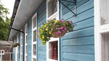 Un panier suspendu rempli de différentes sortes de fleurs.