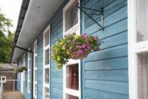 A hanging flower basket with a variety of flowers. - Brown Rigg Lodges (Hexham)