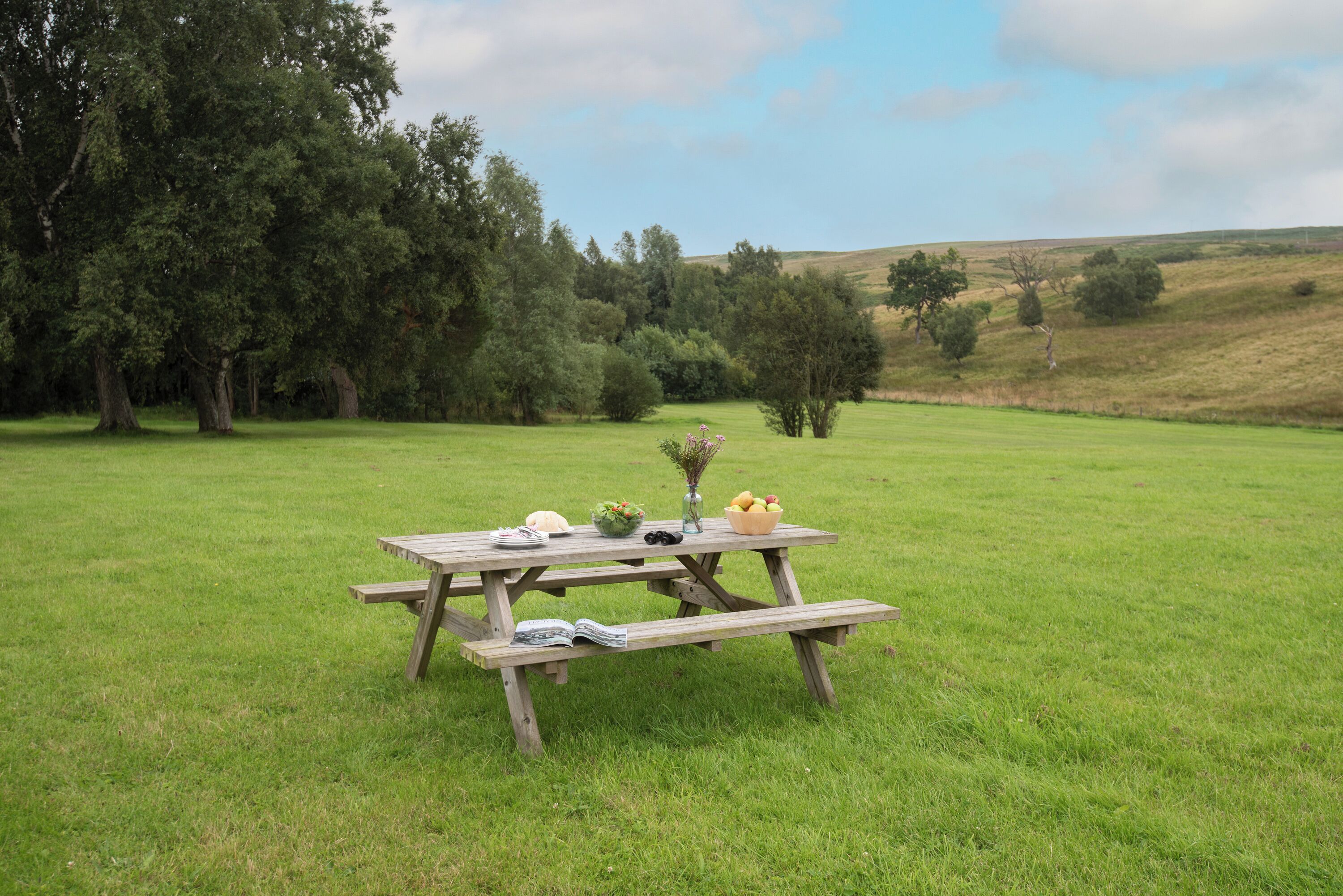 A picnic table set up in a grassy field with trees in the background.