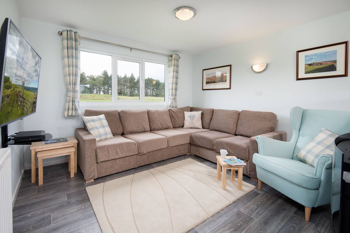 A living room with a brown sectional sofa, a light blue armchair, a wooden coffee table, and a beige rug. There is a window with curtains, a flat-screen TV, and two framed pictures on the wall.