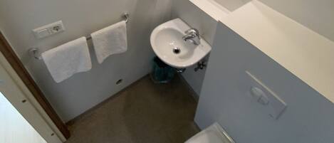 Een kleine badkamer met een witte wasbak, een spiegel, een handdoekhouder en een toilet.