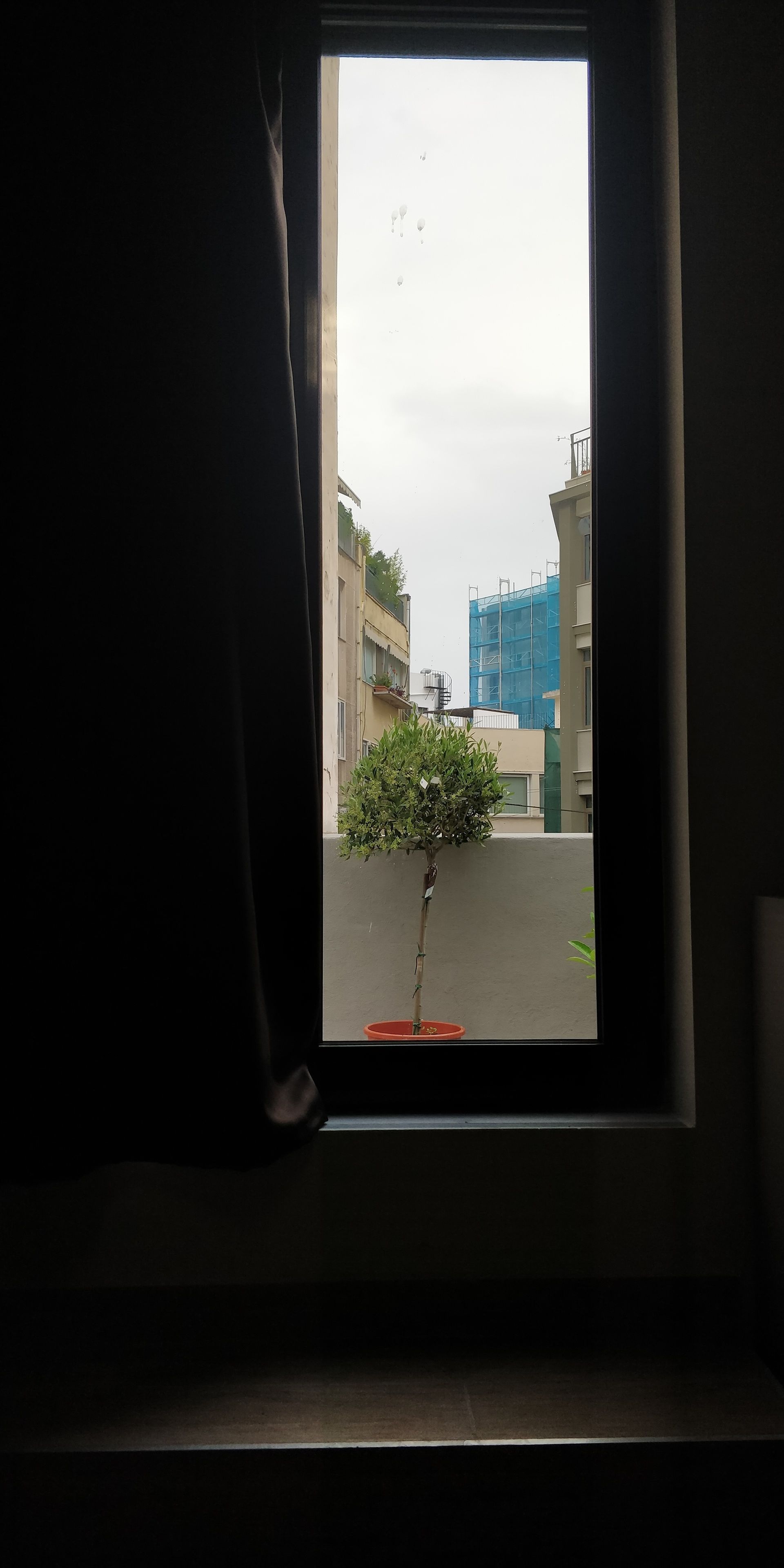 king room | view from room