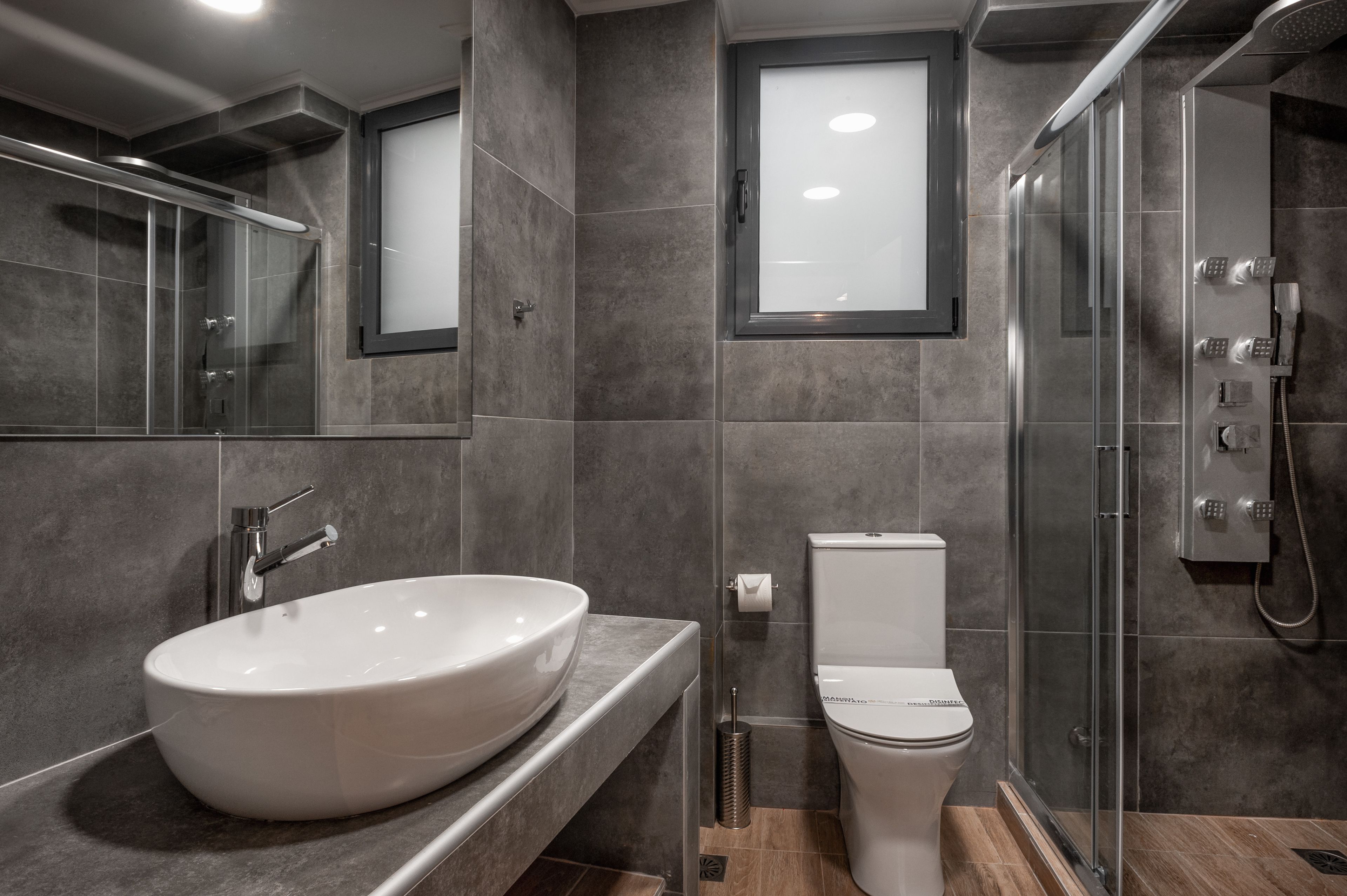 economy studio suite | bathroom | shower, hydromassage showerhead, hair dryer, slippers