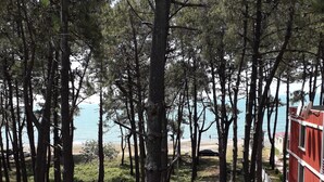 A balcony with a view of a beach, trees, and a red building. - New Wave (Grigoleti)