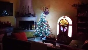 A living room with a Christmas tree, a fireplace, and a window with a decorative frame.