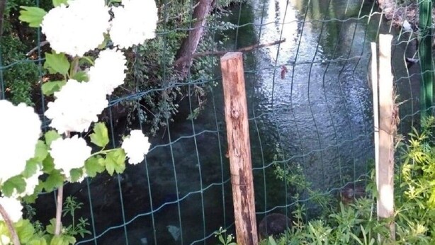 Un entorno natural con un cuerpo de agua, rodeado de árboles y vegetación.