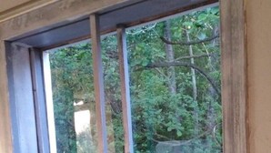 Una ventana que muestra una valla de madera y follaje exterior.