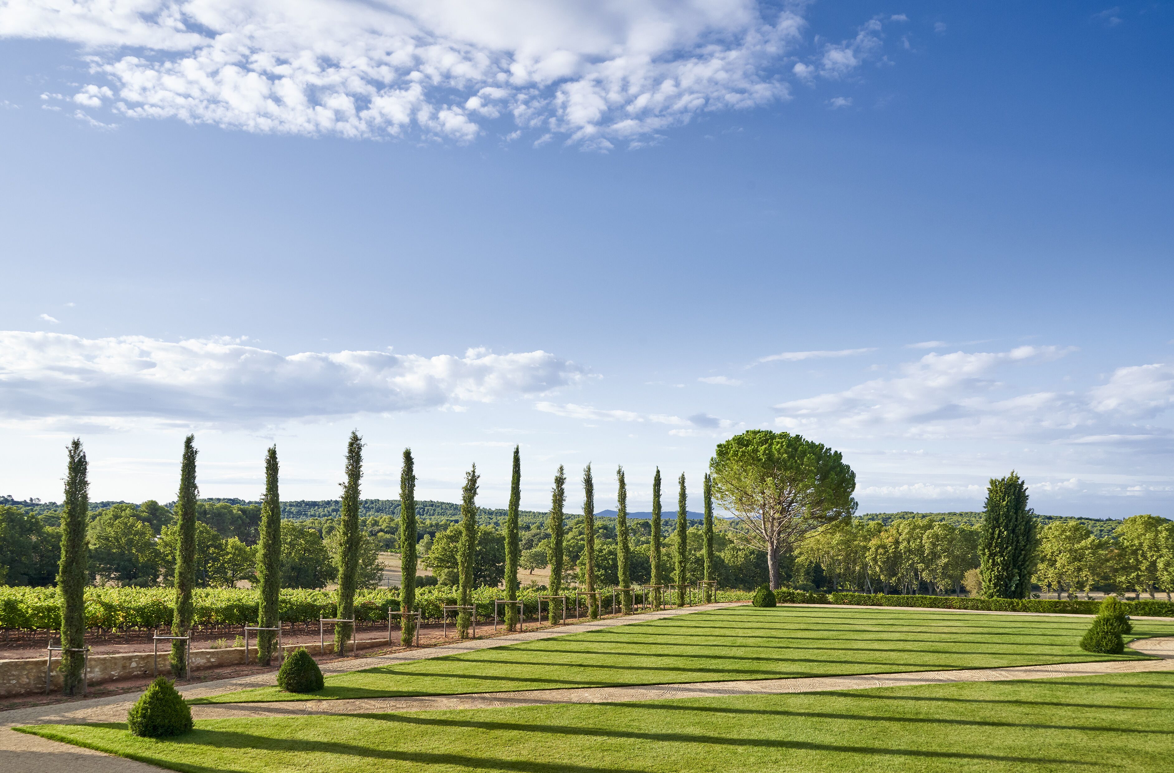 Un jardín bien cuidado con setos ordenados, diversos árboles y un viñedo al fondo.