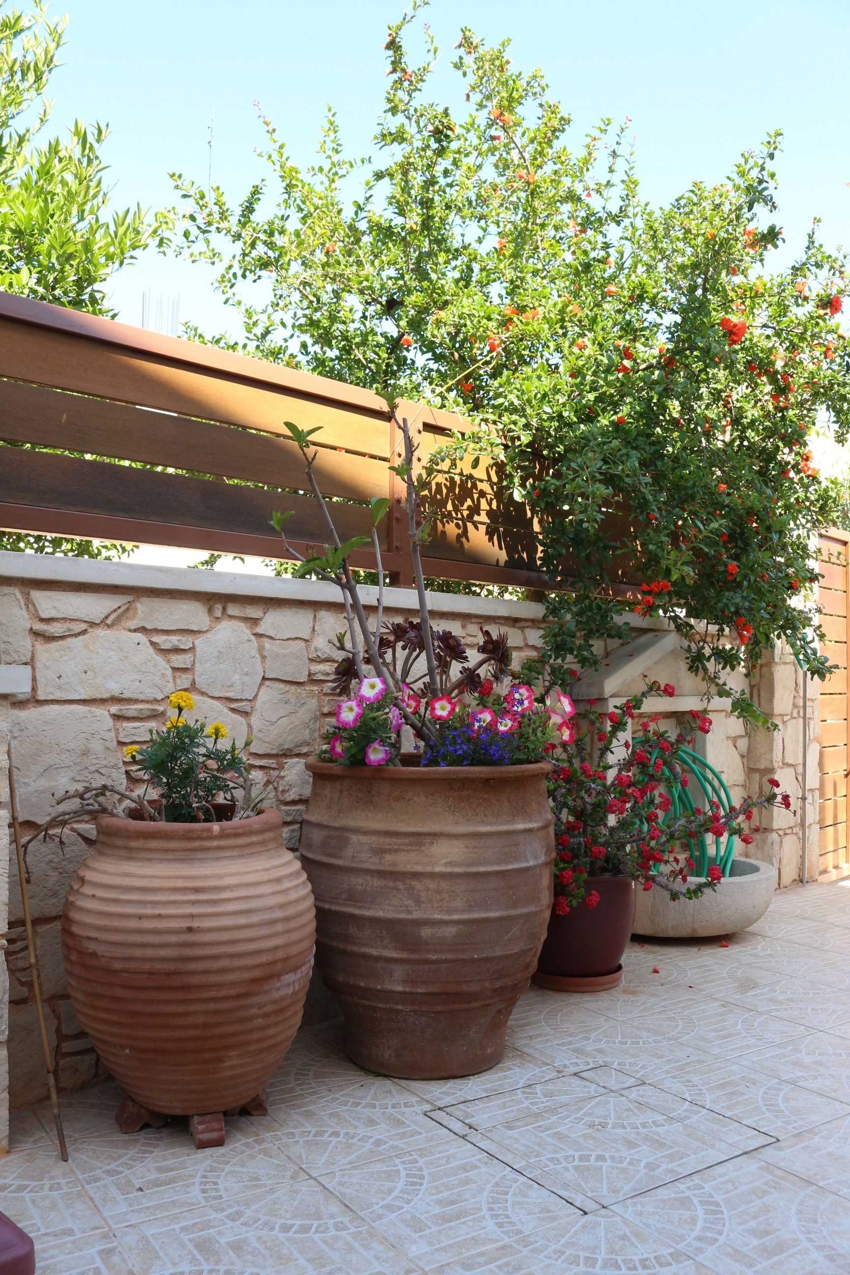 A patio area with large terracotta pots containing various flowering plants and a stone wall in the background.