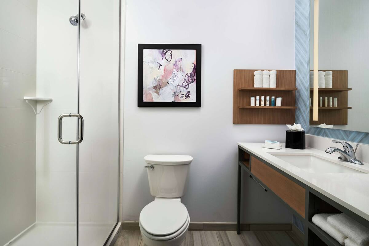 combined shower/bathtub, free toiletries, hair dryer, towels