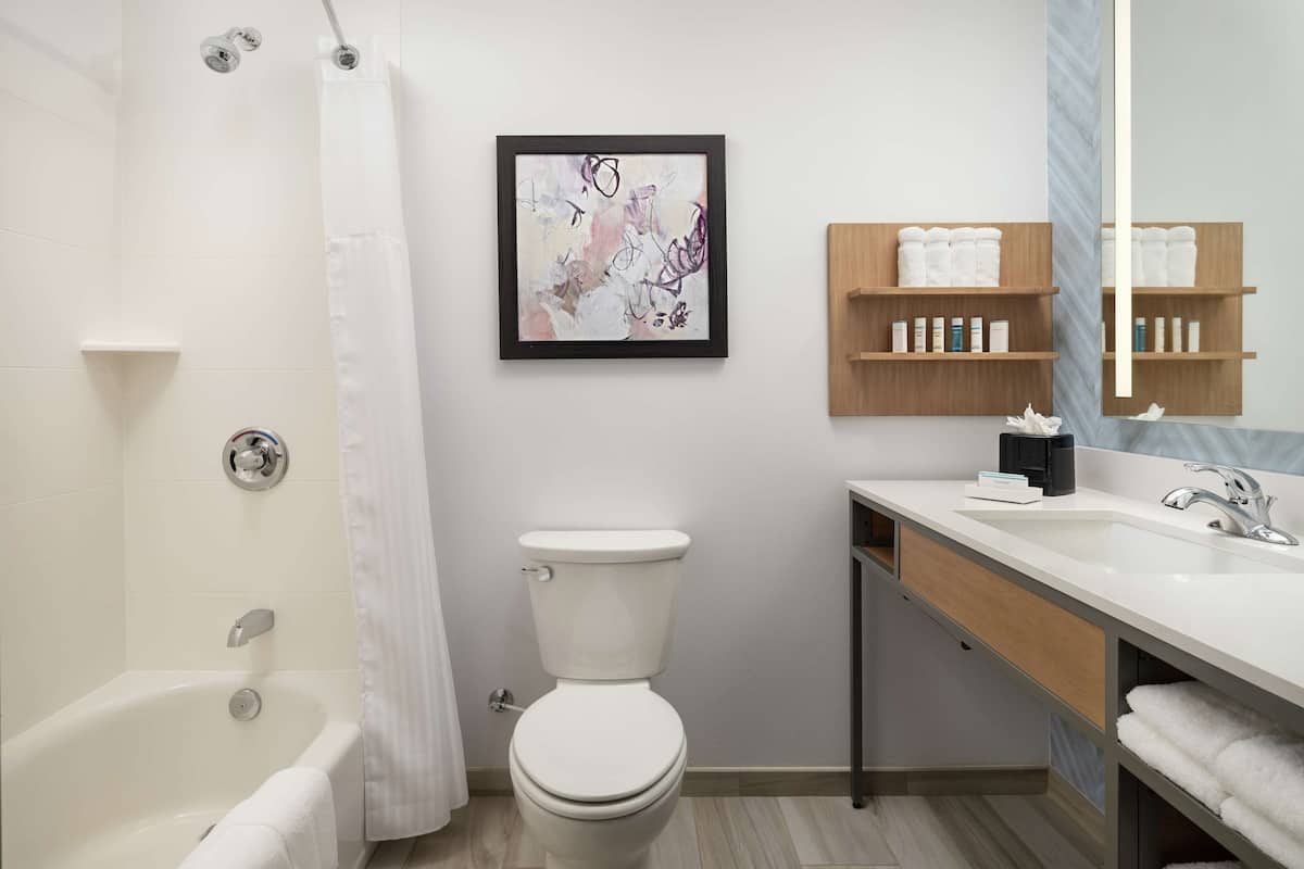 combined shower/bathtub, free toiletries, hair dryer, towels