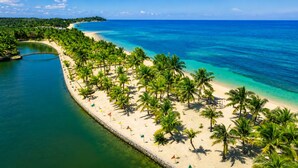 A coastal beach with palm trees and a clear blue sea. - Golden Sands Destination Resorts (Daanbantayan)