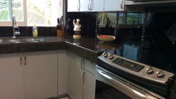 Full-sized fridge, microwave, oven, stovetop