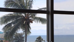 Vista desde una ventana con una palmera y el océano al fondo.