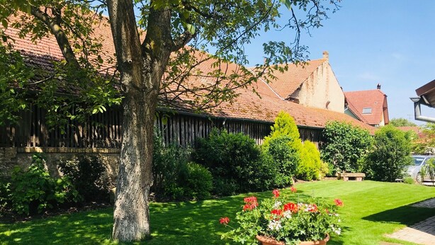 Un jardín con un árbol, cerca de madera y una maceta.