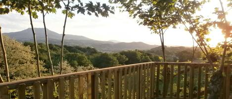 Cabin, 1 Bedroom | View from room