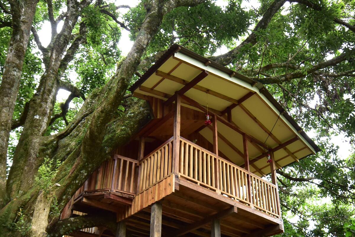 A wooden treehouse with a balcony, built on a sturdy wooden platform, surrounded by lush greenery.