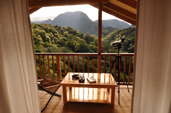 独特套房, 1 张特大床, 山景 | 露台