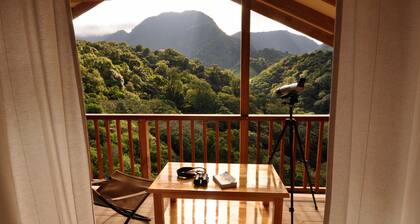 Mount Totumas Cloud Forest