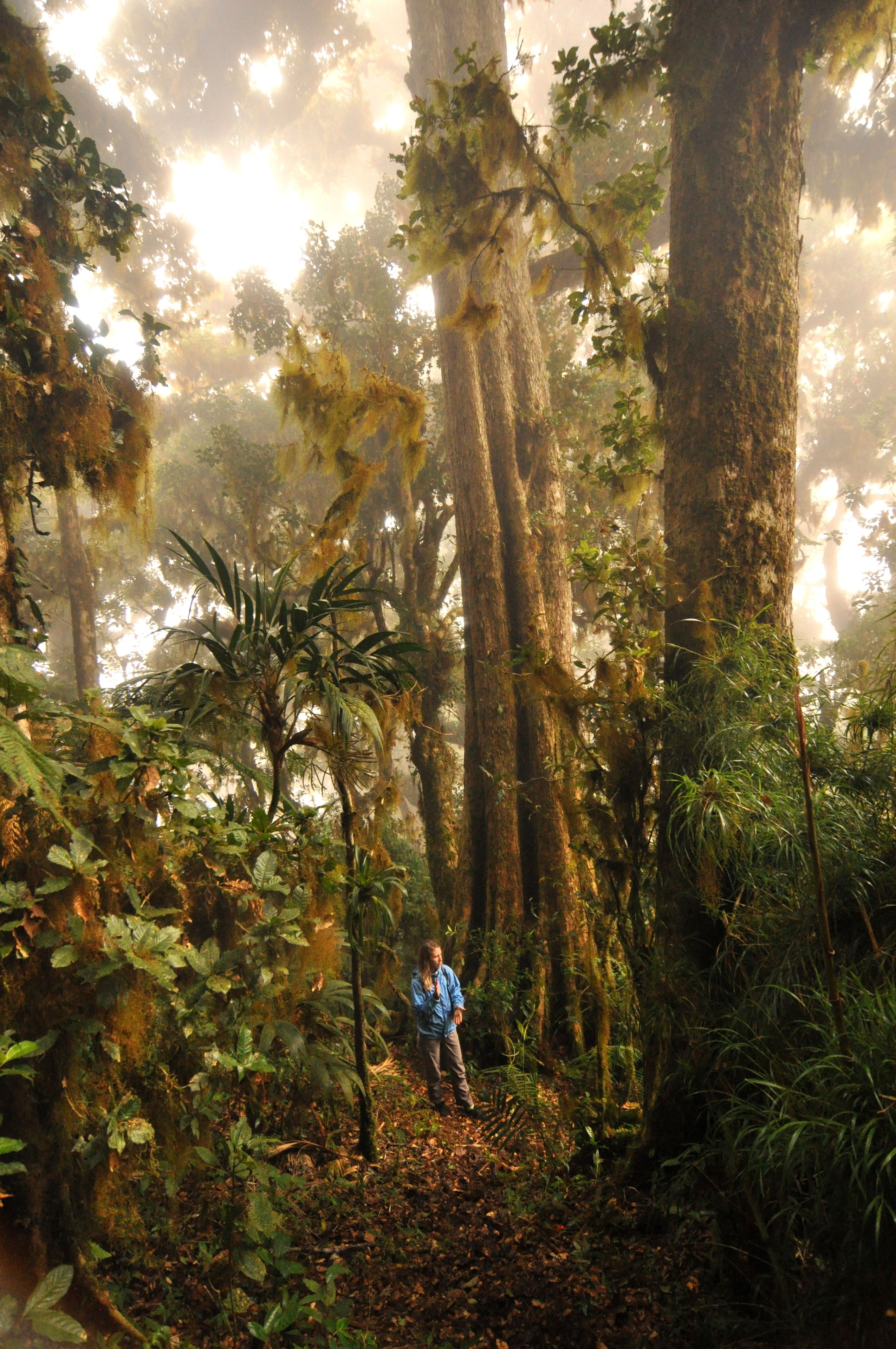 Jardín