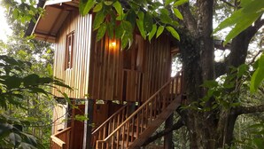 A wooden treehouse with a staircase, surrounded by dense foliage. - Mount Totumas Cloud Forest (Volcan)