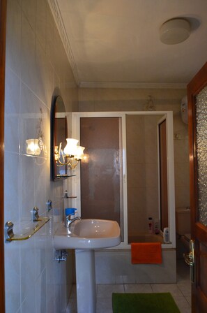 Combined shower/bathtub, hair dryer, bidet, towels