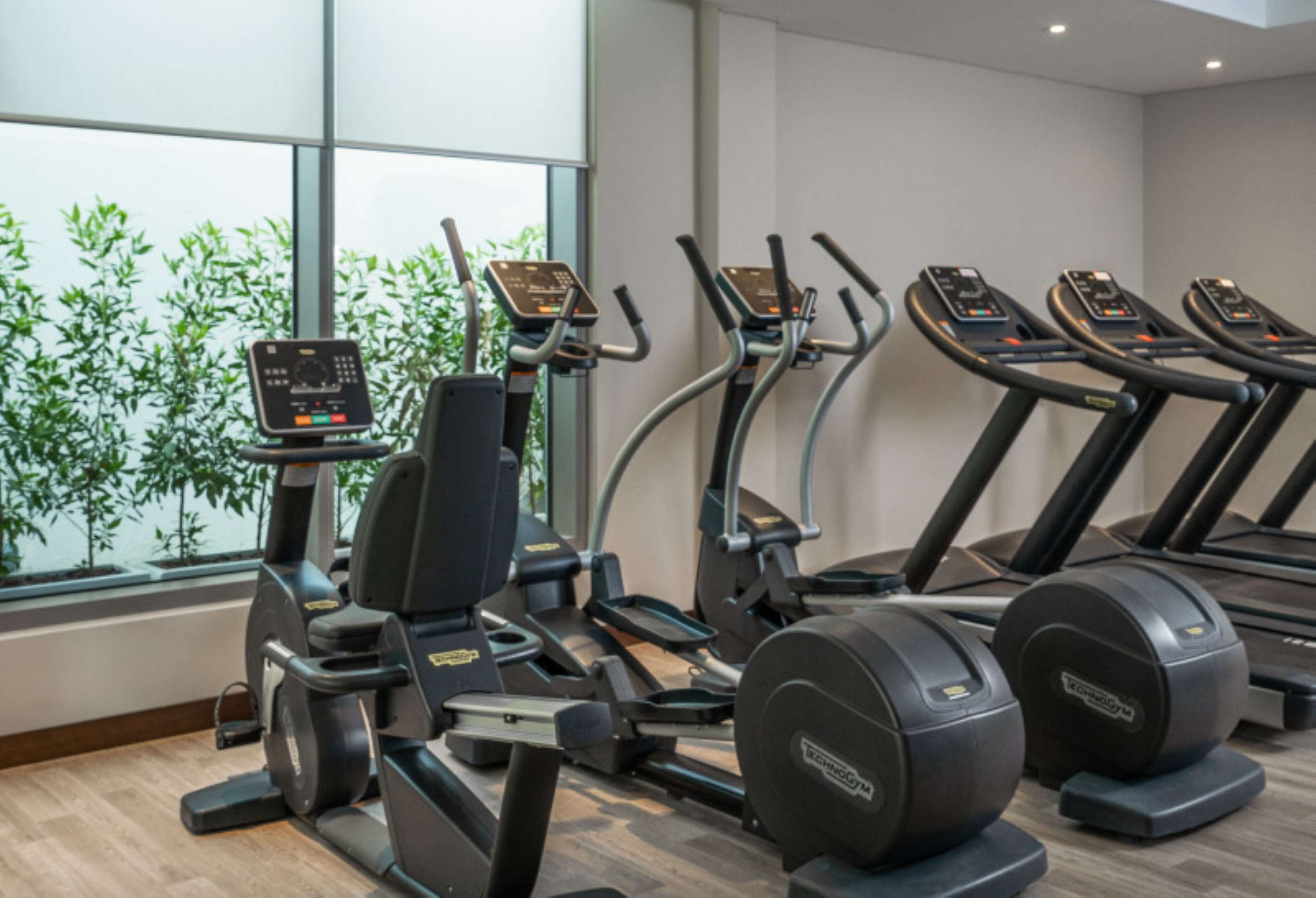 Un gimnasio con cintas de correr y elípticas, ventanas amplias y plantas de interior.