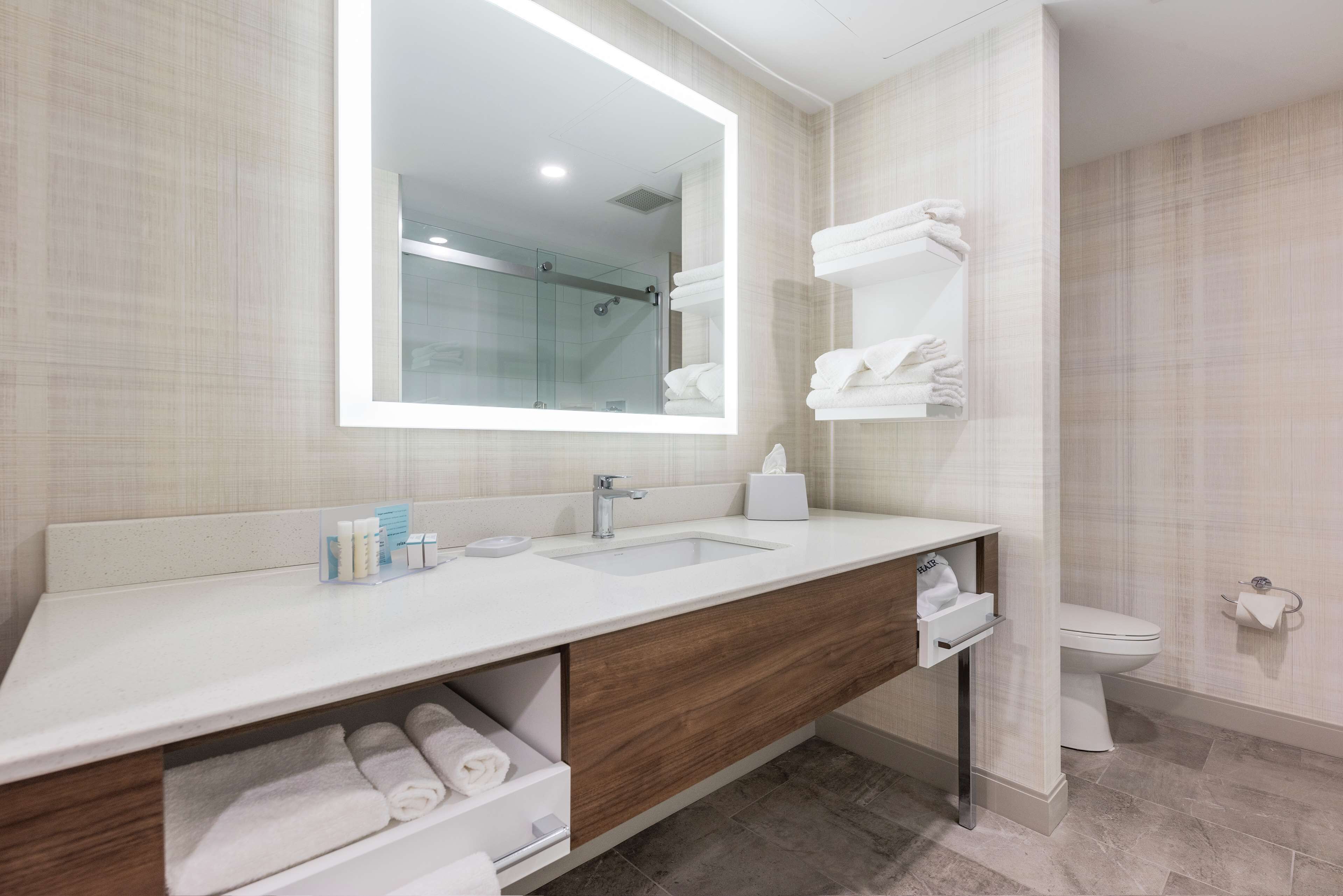 room, 1 king bed, accessible | bathroom shower